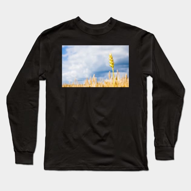 Wheat Long Sleeve T-Shirt by ansaharju